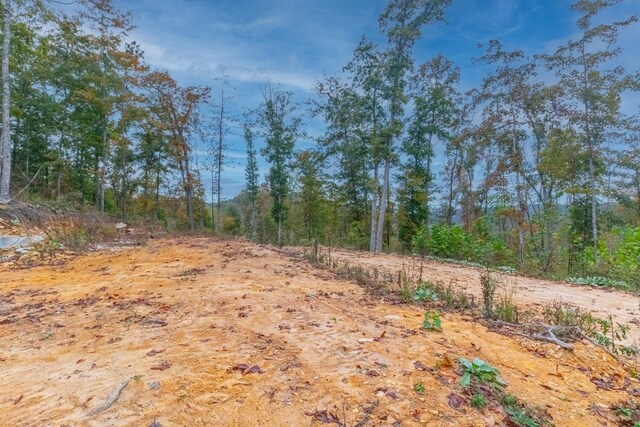 0 Ross Hollow Rd, Ashland City, TN 37015 - photo 6