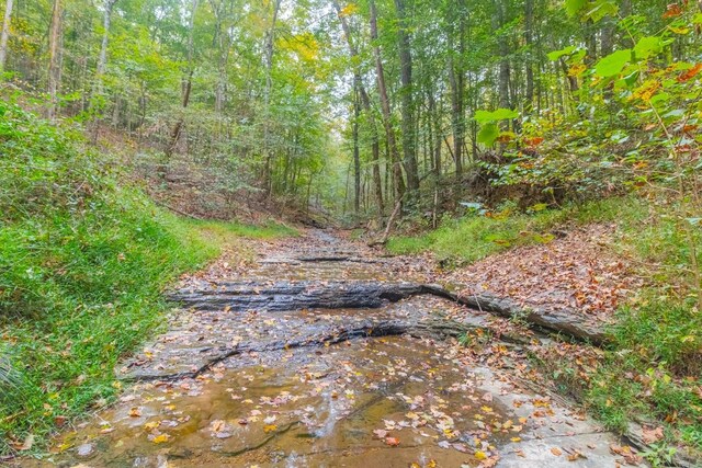 0 Ross Hollow Rd, Ashland City, TN 37015 - photo 12