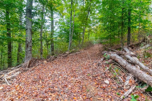 0 Ross Hollow Rd, Ashland City, TN 37015 - photo 9