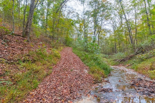 0 Ross Hollow Rd, Ashland City, TN 37015 - photo 10
