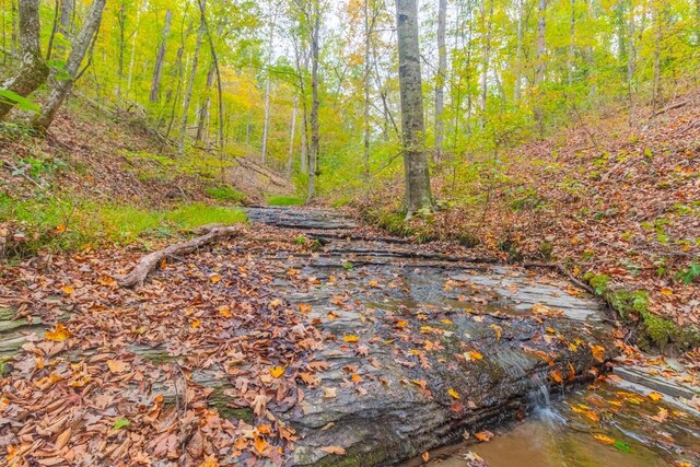 0 Ross Hollow Rd, Ashland City, TN 37015 - photo 1