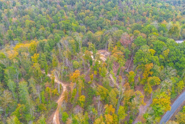0 Ross Hollow Rd, Ashland City, TN 37015 - photo 18