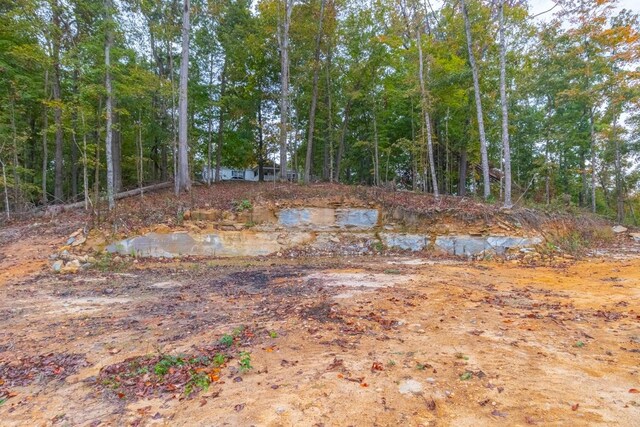 0 Ross Hollow Rd, Ashland City, TN 37015 - photo 7