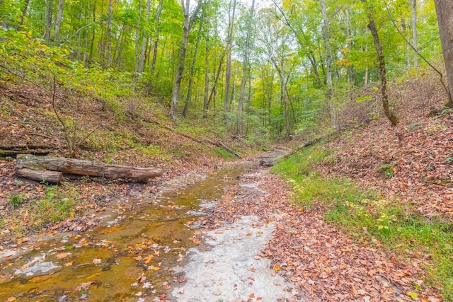 0 Ross Hollow Rd, Ashland City, TN 37015 - photo 11