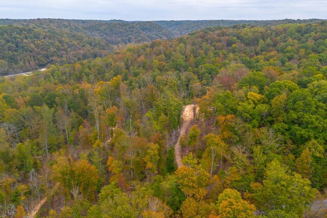 0 Ross Hollow Rd, Ashland City, TN 37015 - photo 16