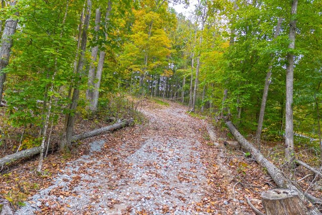 0 Ross Hollow Rd, Ashland City, TN 37015 - photo 2