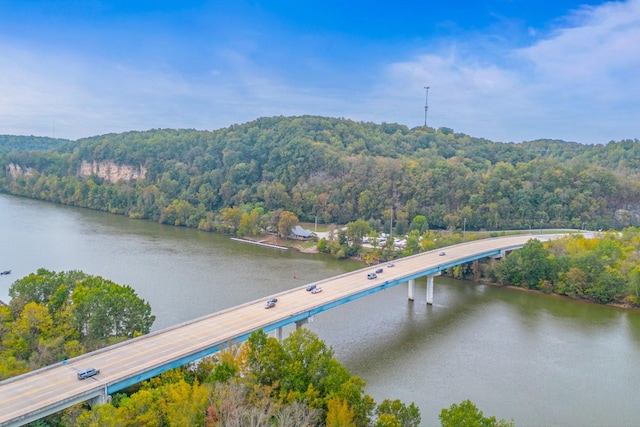 0 Ross Hollow Rd, Ashland City, TN 37015 - photo 21