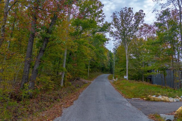 0 Ross Hollow Rd, Ashland City, TN 37015 - photo 19