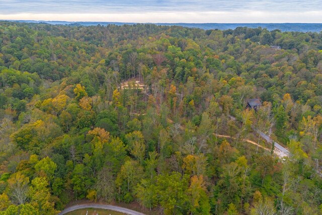 0 Ross Hollow Rd, Ashland City, TN 37015 - photo 15