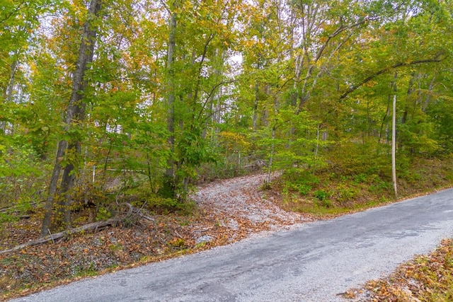 0 Ross Hollow Rd, Ashland City, TN 37015 - photo 3
