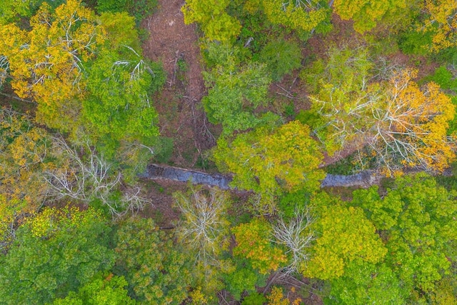 0 Ross Hollow Rd, Ashland City, TN 37015 - photo 14