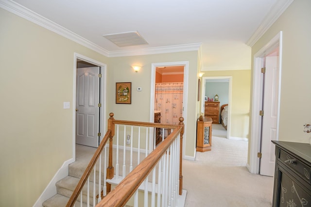 corridor with crown molding and light colored carpet