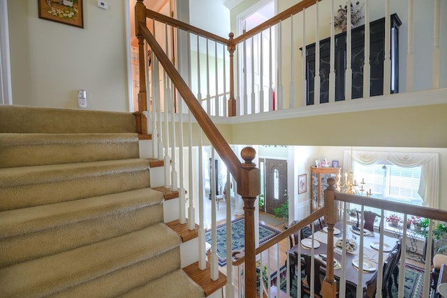 stairway featuring wood-type flooring