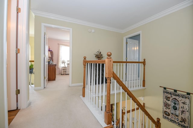 hall featuring light colored carpet and ornamental molding