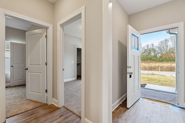 foyer featuring hardwood / wood-style floors