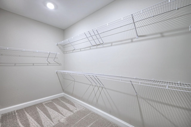 walk in closet with carpet flooring