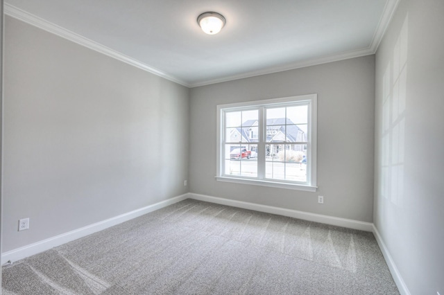 spare room featuring carpet floors and ornamental molding