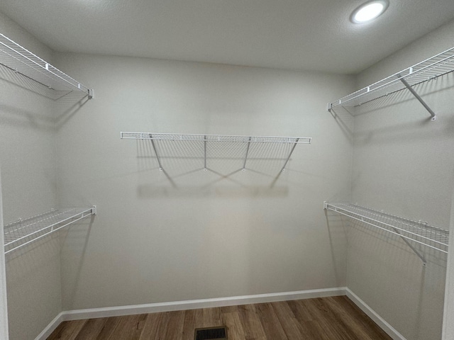 walk in closet featuring wood-type flooring