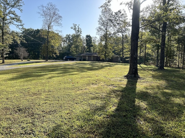 841 Asbury Dr, New Johnsonville, TN 37134 - view of grassy yard