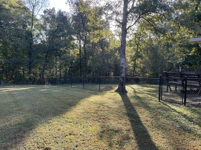 841 Asbury Dr, New Johnsonville, TN 37134 - view of yard with a gate
