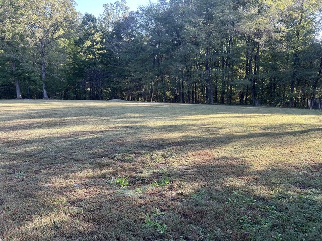 841 Asbury Dr, New Johnsonville, TN 37134 - view of grassy yard with a forest view