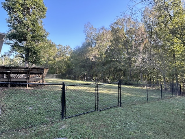 view of yard featuring a wooden deck