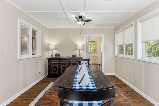 interior space with ceiling fan and dark hardwood / wood-style flooring