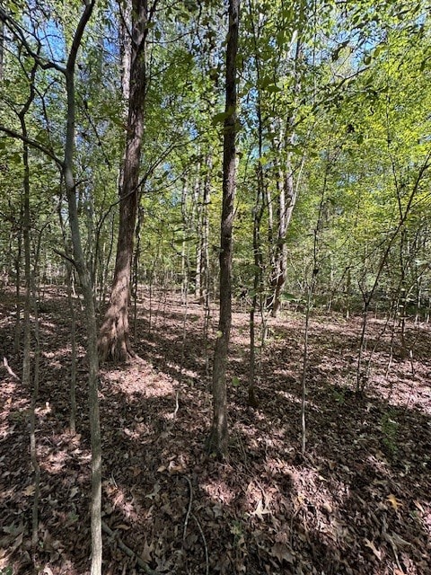 0 Sales Landing Rd, Camden, TN 38320