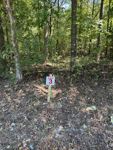 0 Sales Landing Rd, Camden, TN 38320