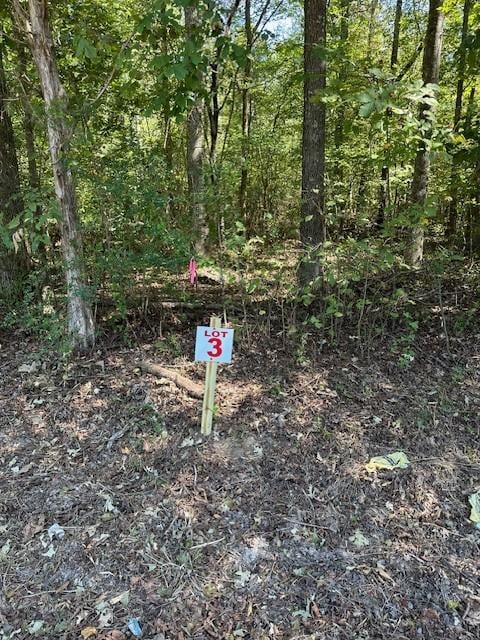 0 Sales Landing Rd, Camden, TN 38320 - photo 1