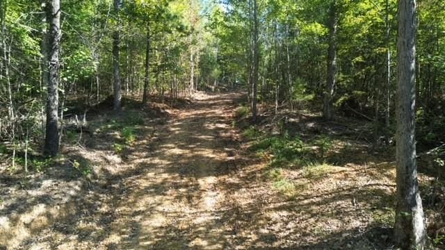 0 Sales Landing Rd, Camden, TN 38320 - photo 2