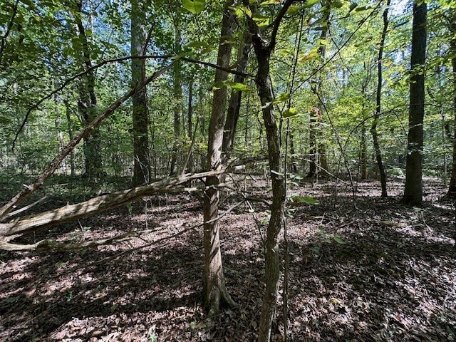 0 Sales Landing Rd, Camden, TN 38320