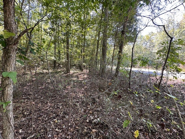 0 Sales Landing Rd, Camden, TN 38320