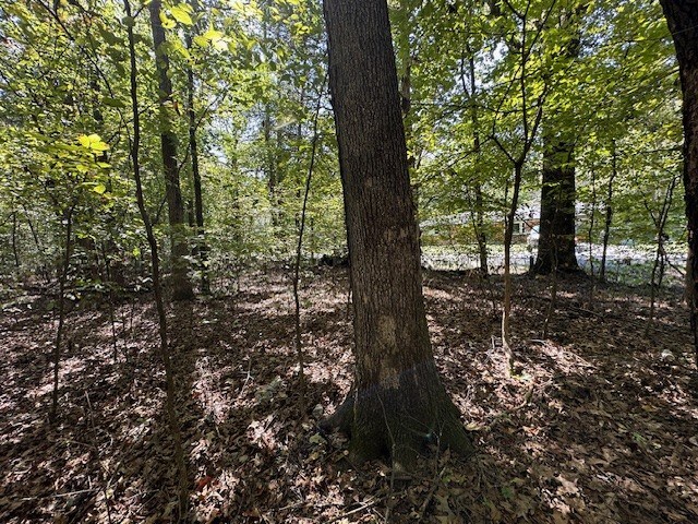 0 Sales Landing Rd, Camden, TN 38320