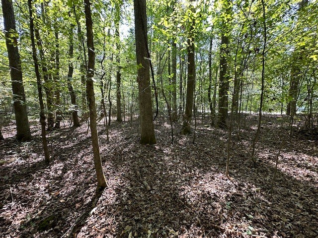 0 Sales Landing Rd, Camden, TN 38320