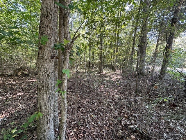 0 Sales Landing Rd, Camden, TN 38320