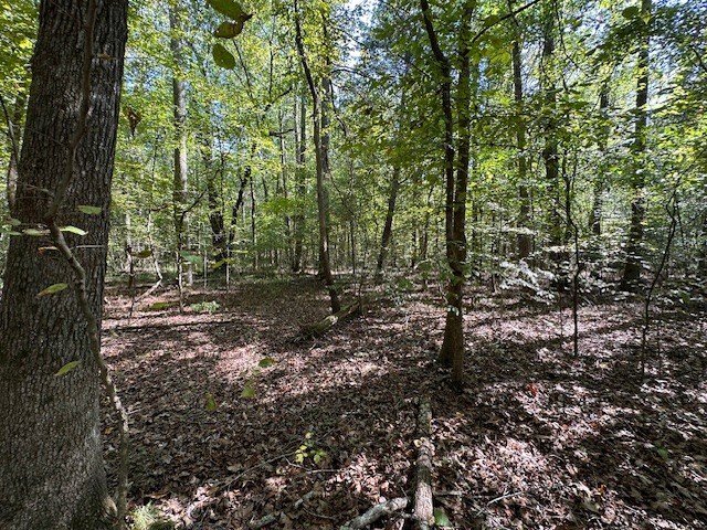 0 Sales Landing Rd, Camden, TN 38320