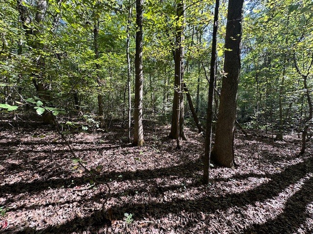 0 Sales Landing Rd, Camden, TN 38320