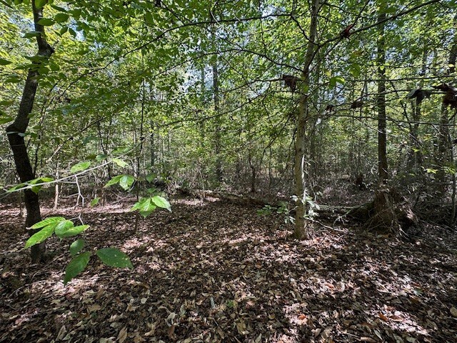 0 Sales Landing Rd, Camden, TN 38320