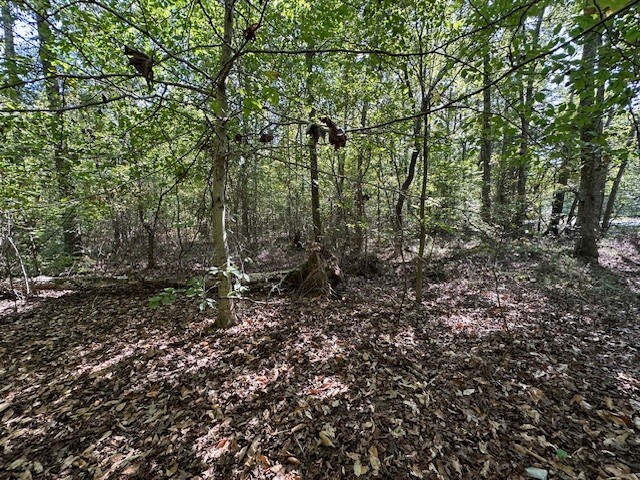 0 Sales Landing Rd, Camden, TN 38320