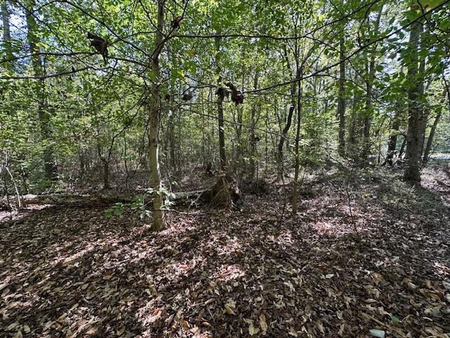 0 Sales Landing Rd, Camden, TN 38320 - photo 11