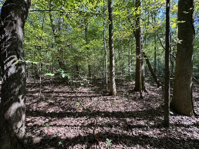 0 Sales Landing Rd, Camden, TN 38320