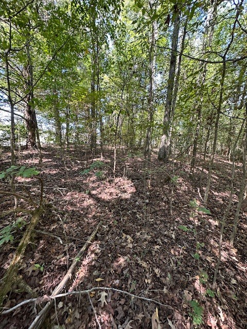 0 Sales Landing Rd, Camden, TN 38320