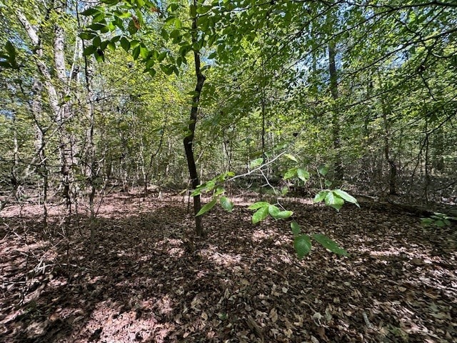 0 Sales Landing Rd, Camden, TN 38320