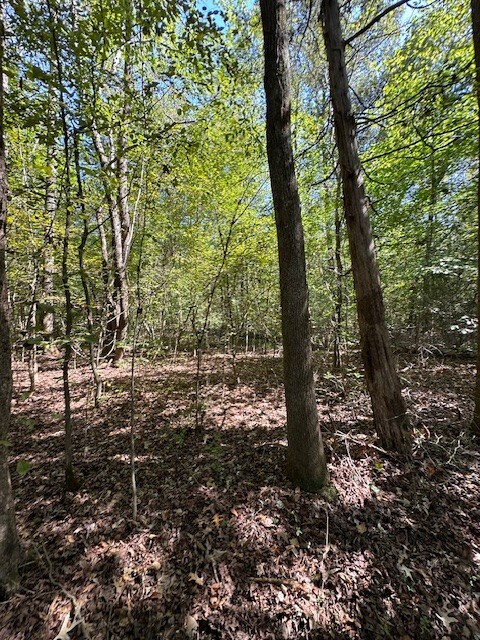 0 Sales Landing Rd, Camden, TN 38320