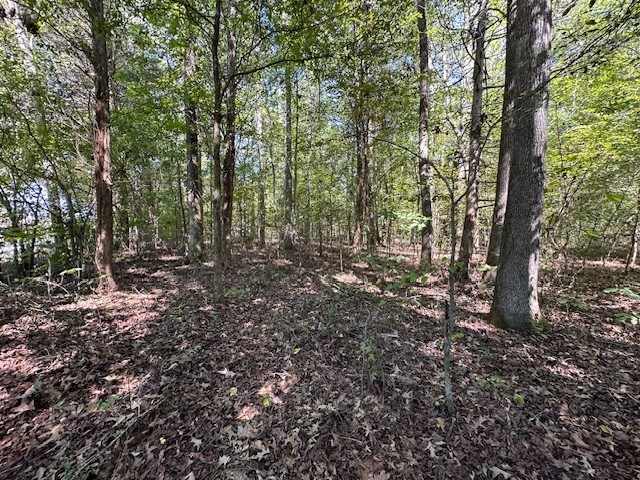 0 Sales Landing Rd, Camden, TN 38320