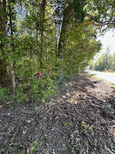 0 Sales Landing Rd, Camden, TN 38320