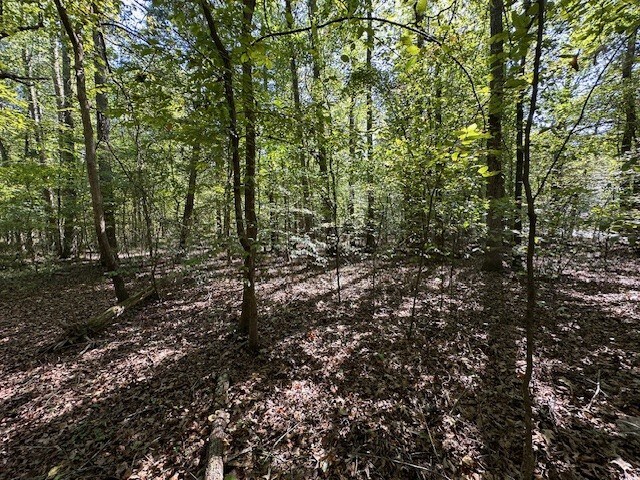 0 Sales Landing Rd, Camden, TN 38320