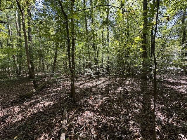 0 Sales Landing Rd, Camden, TN 38320 - photo 24