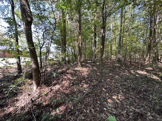 0 Sales Landing Rd, Camden, TN 38320